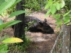 Belize 037
